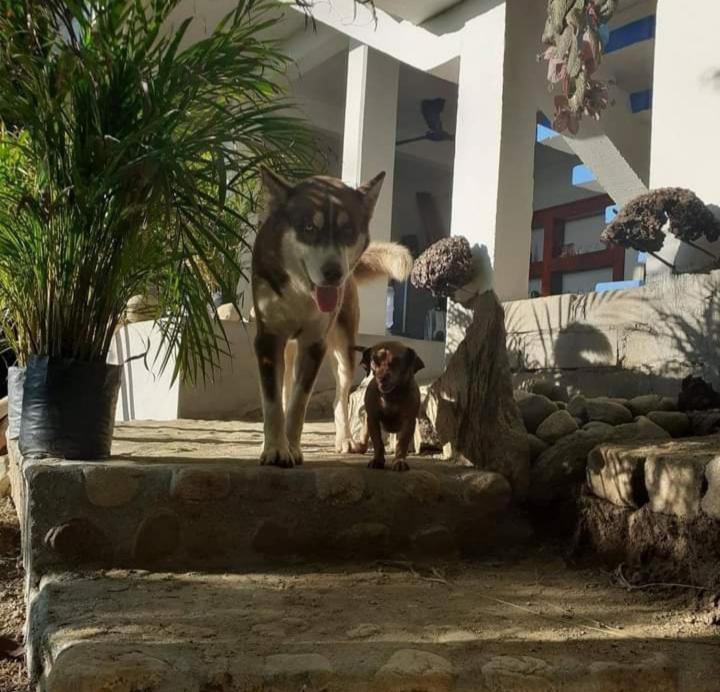 Aldea Xha Iba' Zipolite Hotell Exteriör bild